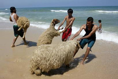 maberache yetaba3 safi lohe fi bahare
